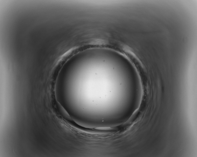 X0000086261304200704051254