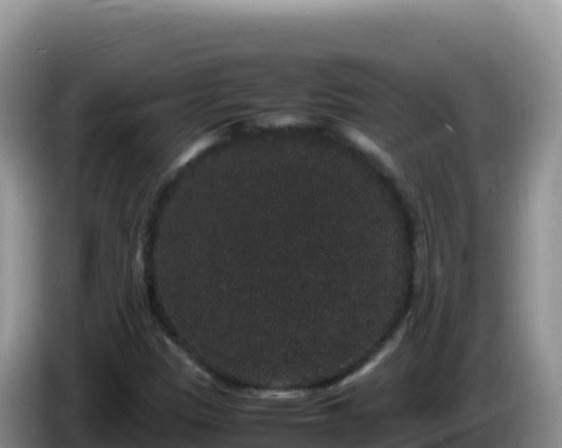 X0000086261305200704051254