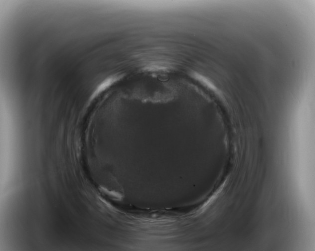 X0000086261306200704051254