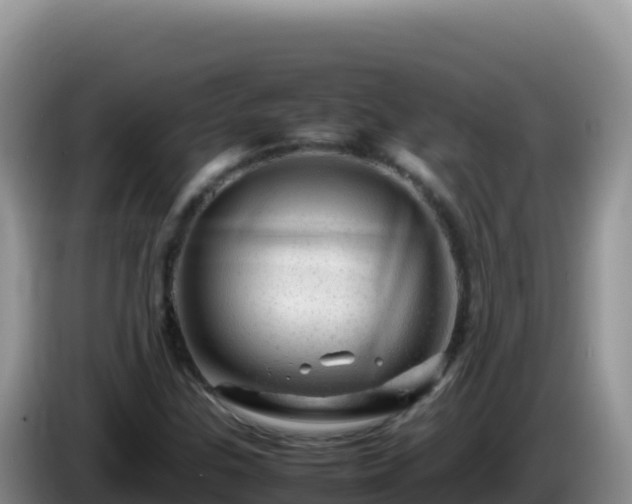 X0000086261307200704051254