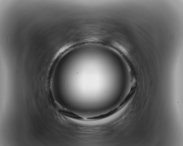 X0000086261308200704051254