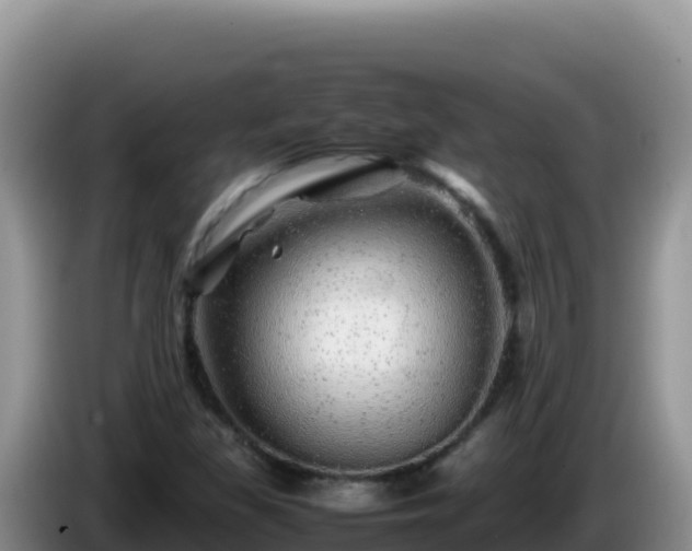X0000086261309200704051254