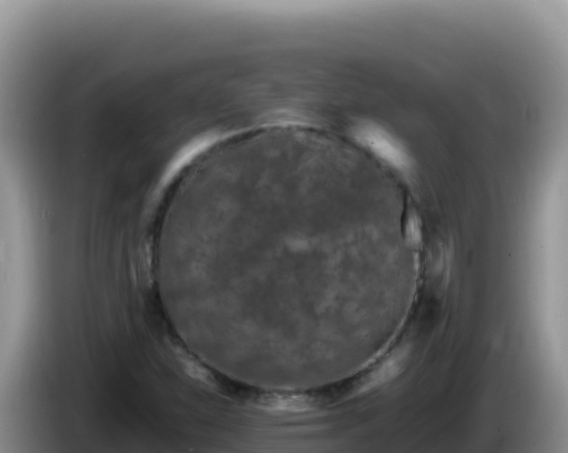 X0000086261310200704051254