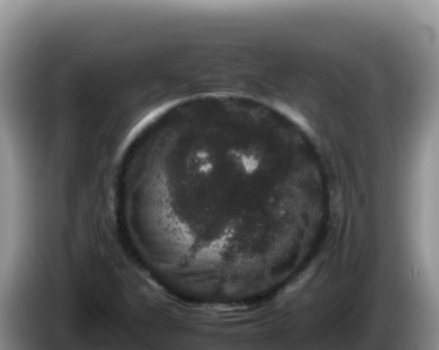 X0000086261311200704051254