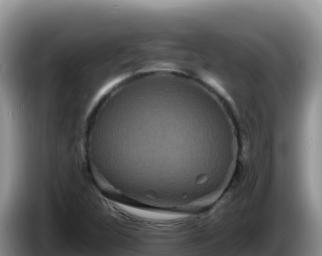 X0000086261312200704051254