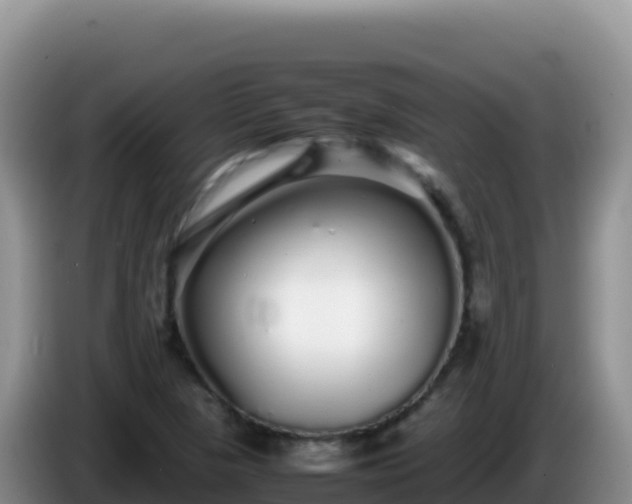 X0000086261313200704051254