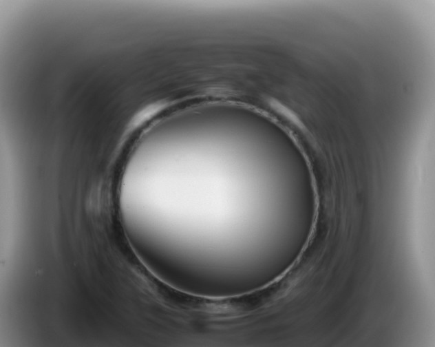 X0000086261315200704051254