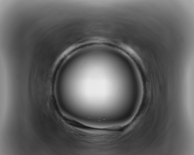X0000086261318200704051254