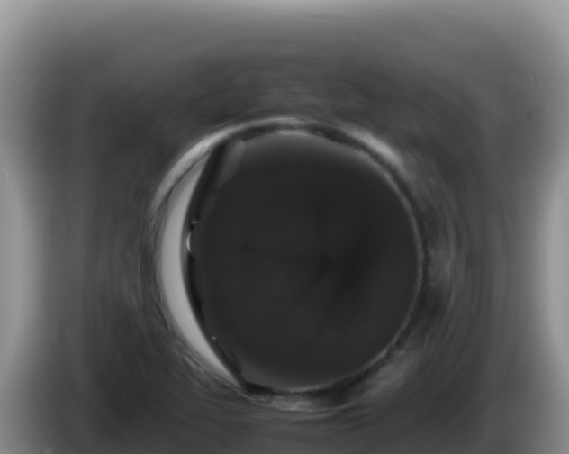 X0000086261319200704051254