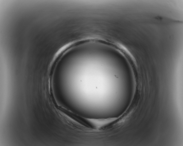 X0000086261320200704051254
