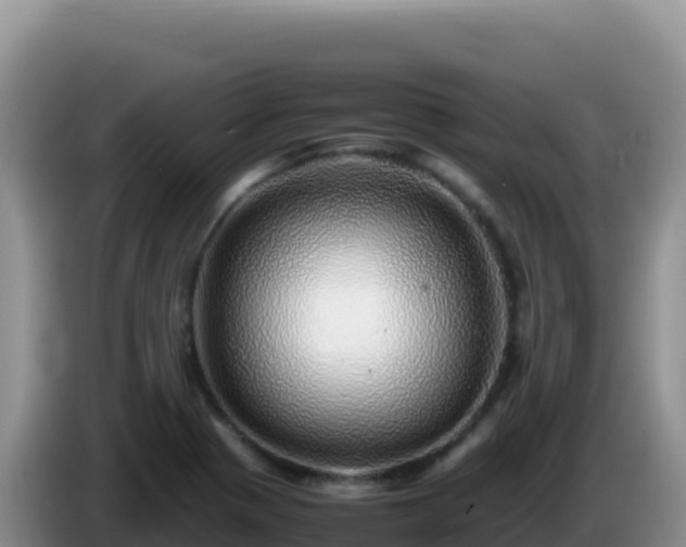X0000086261321200704051254