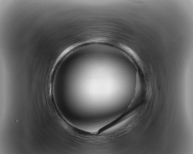 X0000086261324200704051254