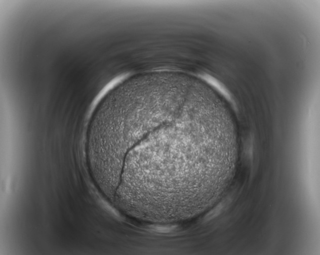 X0000086261325200704051254