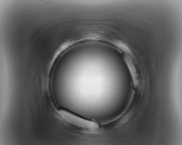 X0000086261326200704051254