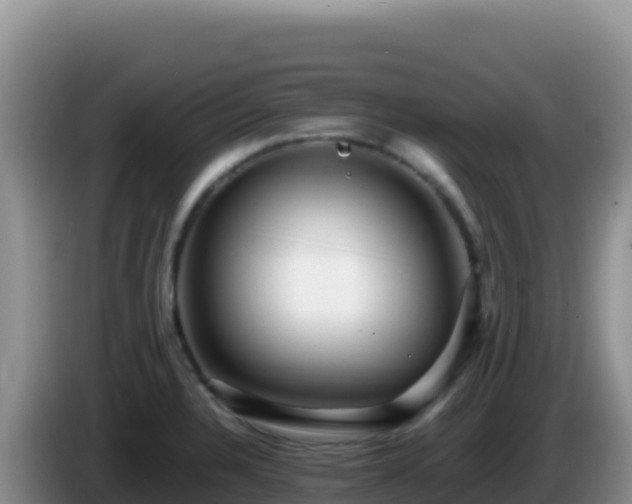 X0000086261328200704051254