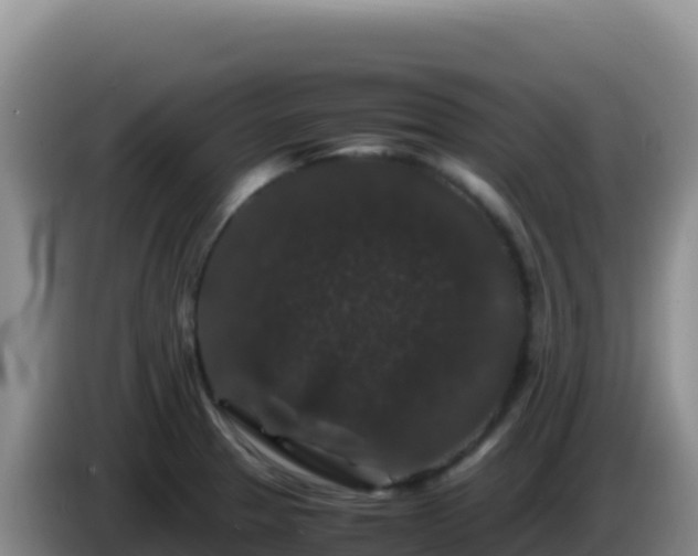 X0000086261329200704051254