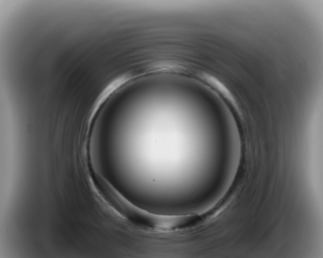 X0000086261330200704051254