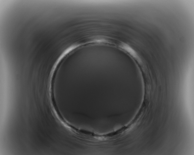 X0000086261331200704051254
