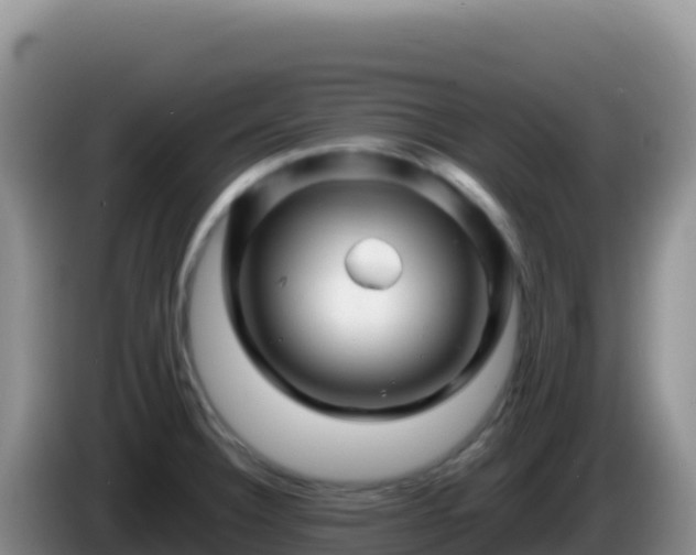 X0000086261332200704051254