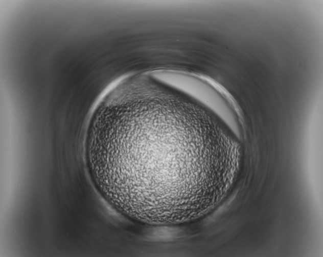 X0000086261333200704051254