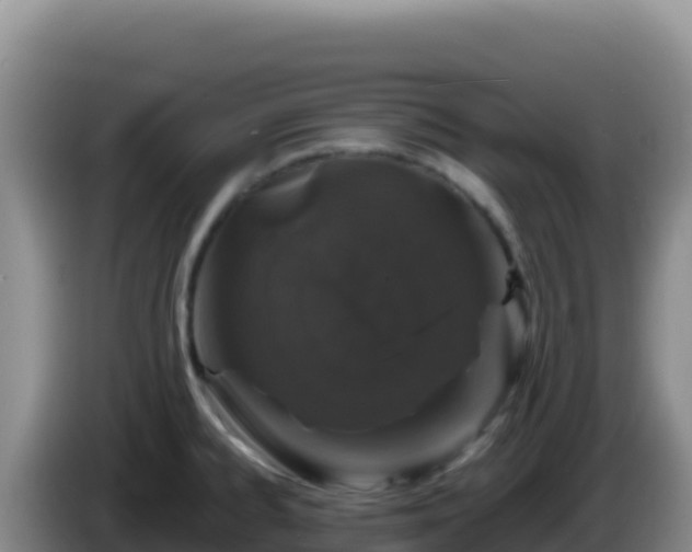 X0000086261334200704051254