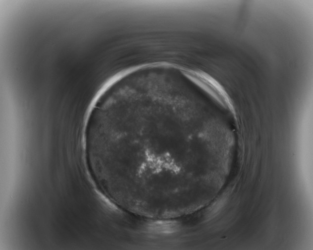 X0000086261335200704051254