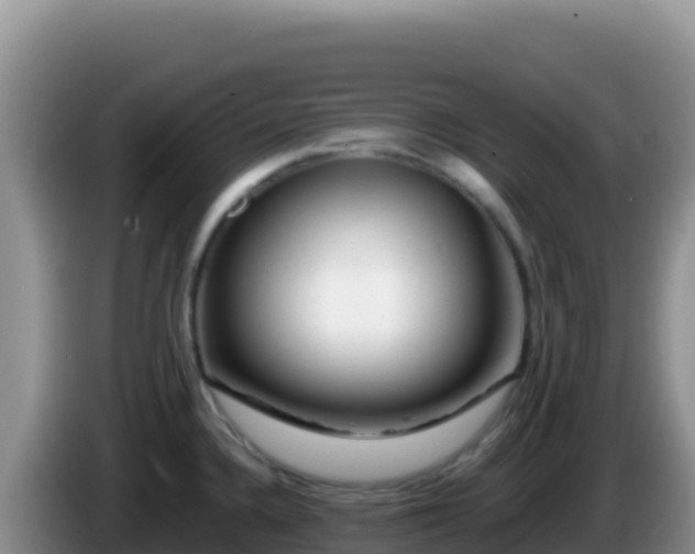 X0000086261336200704051254