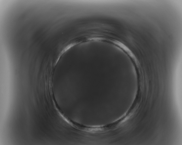 X0000086261337200704051254