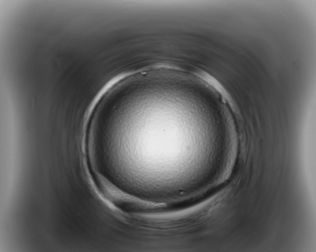 X0000086261339200704051254