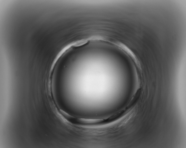 X0000086261340200704051254