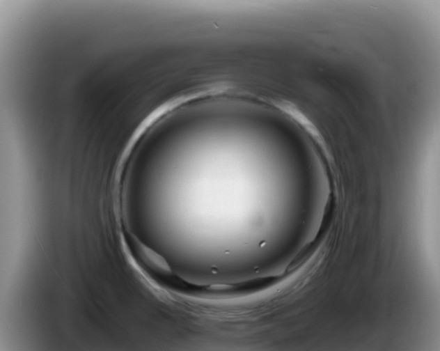 X0000086261342200704051254
