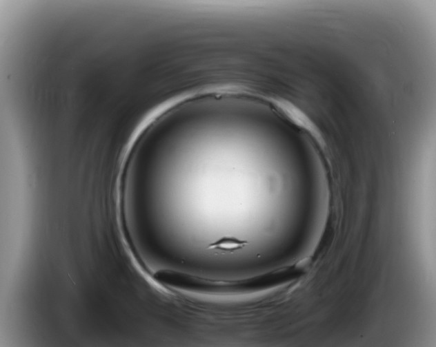 X0000086261343200704051254