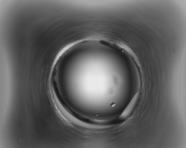 X0000086261344200704051254