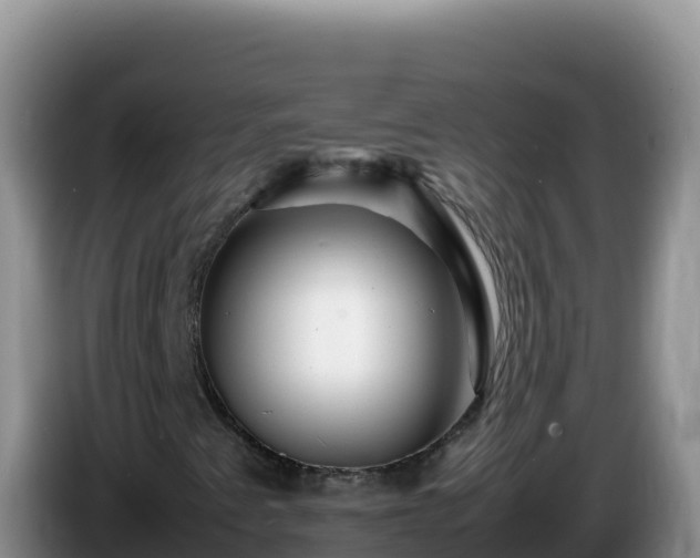 X0000086261345200704051253