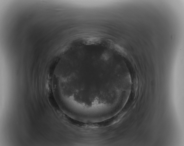 X0000086261346200704051253