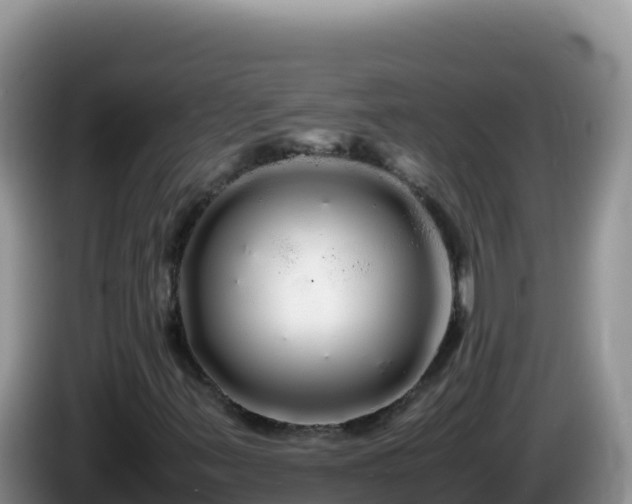 X0000086261347200704051253