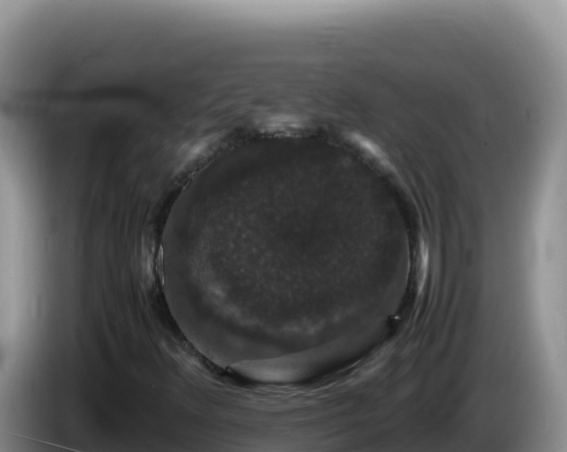 X0000086261348200704051253