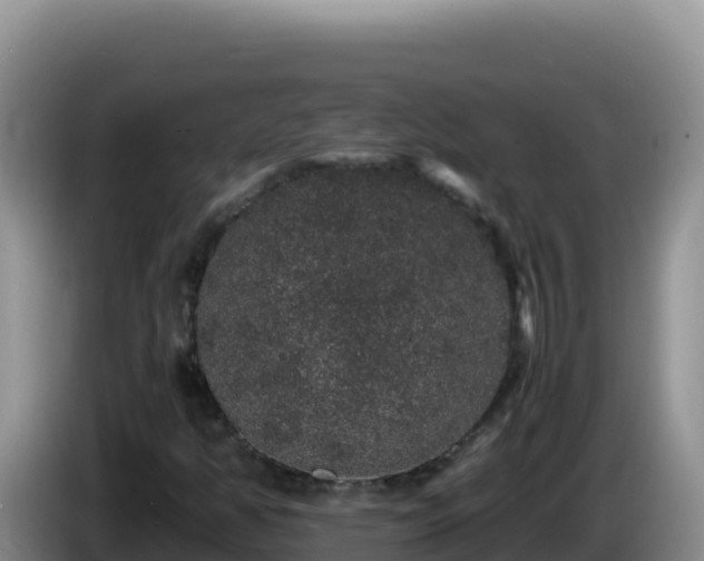 X0000086261350200704051253