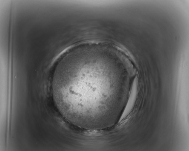 X0000086261352200704051253
