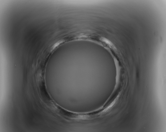 X0000086261353200704051253