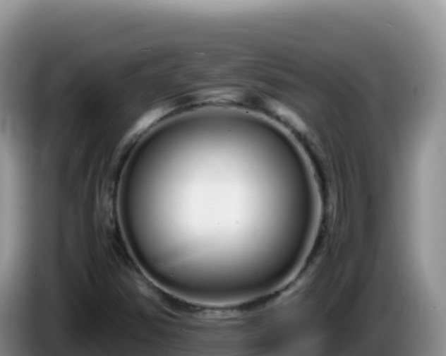 X0000086261354200704051253