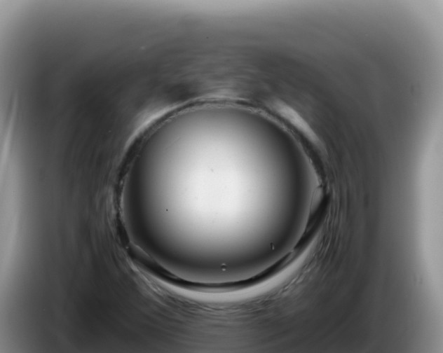X0000086261356200704051253