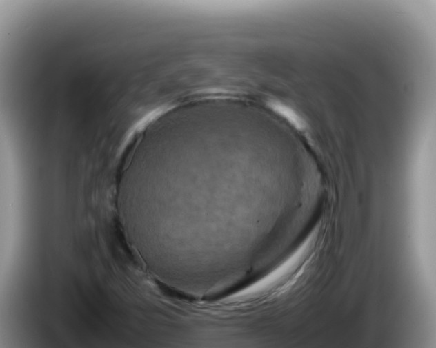 X0000086261357200704051253