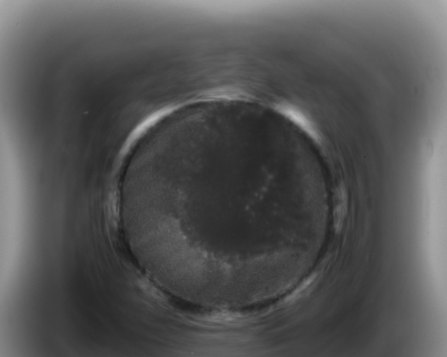 X0000086261358200704051253