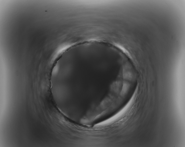 X0000086261359200704051253