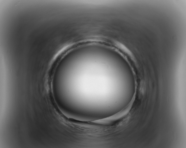 X0000086261360200704051253