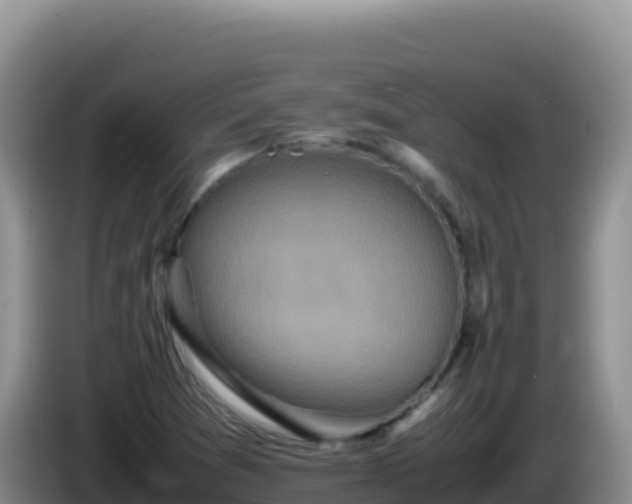 X0000086261361200704051253