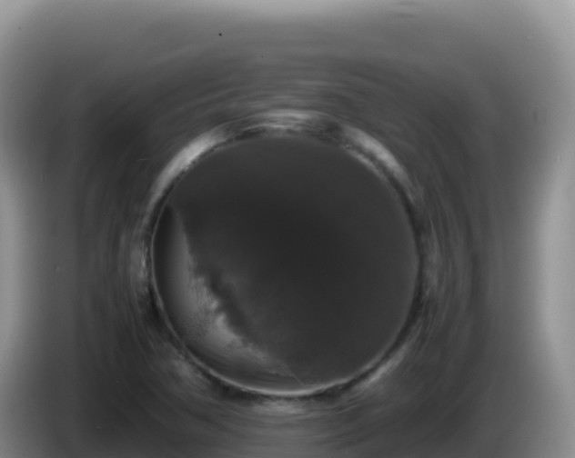 X0000086261362200704051253