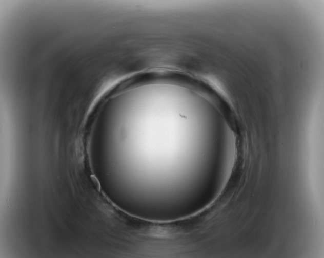 X0000086261364200704051253