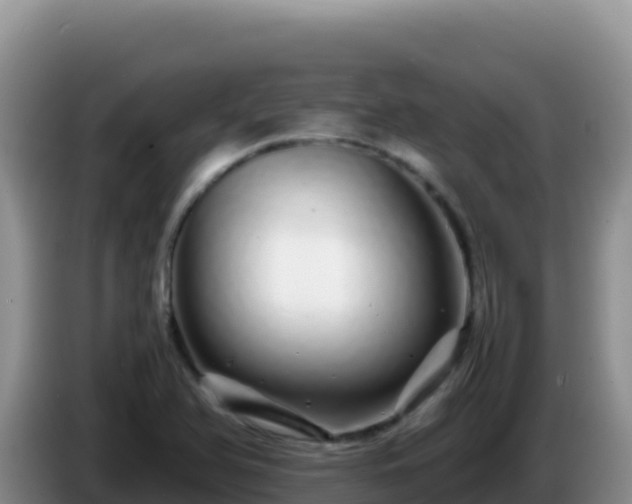 X0000086261366200704051253